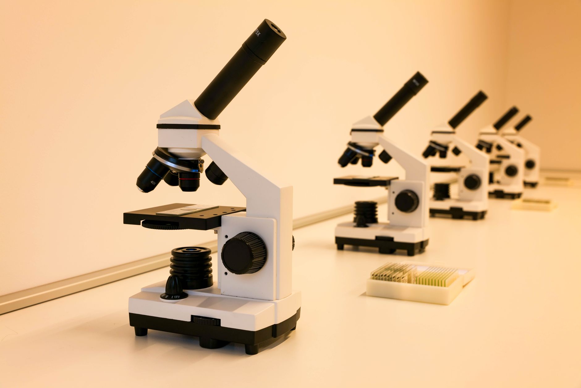 相关科学主题图片