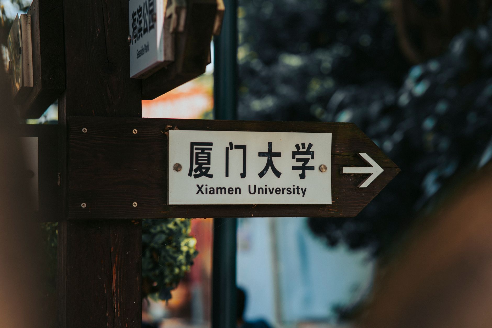 相关器物/产品图片