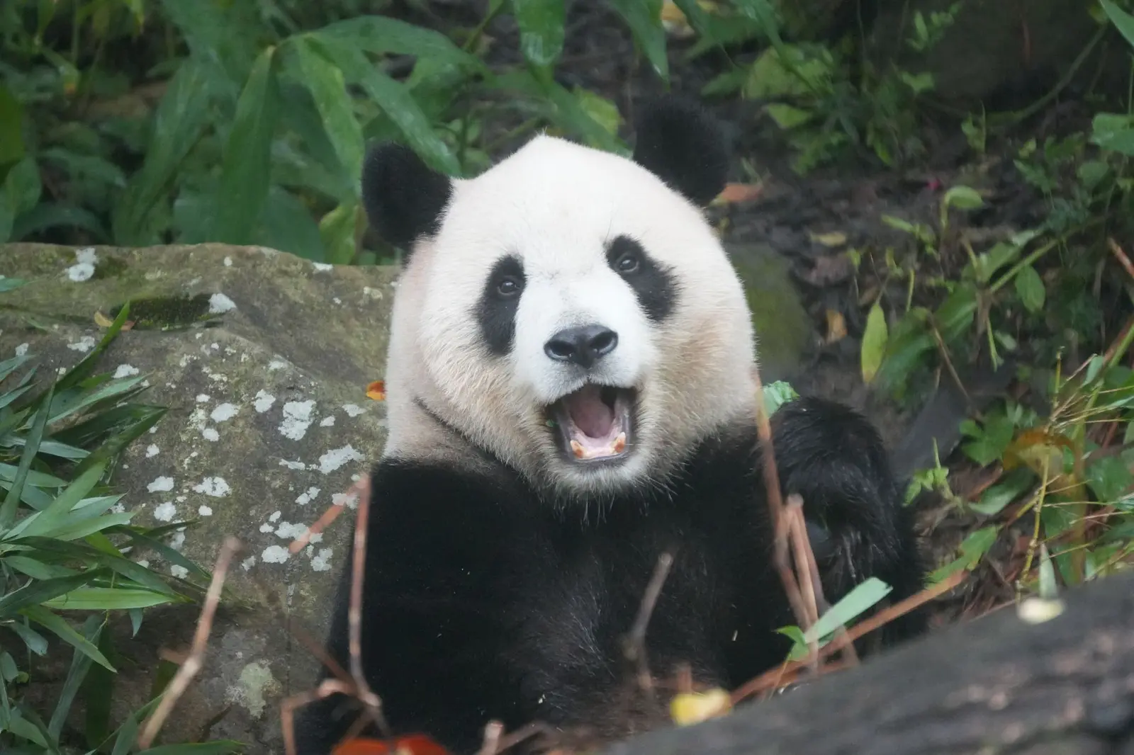 云可以重达数千万吨却仍漂浮在大气中